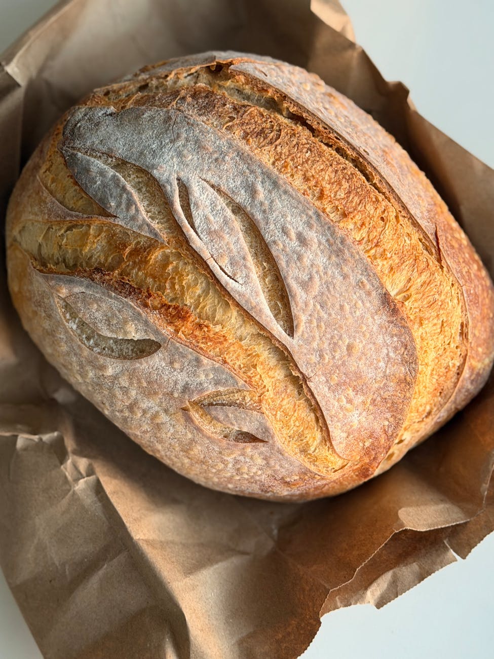 From Bubbly Starter to Golden Loaf: Easy Sourdough Baking Essentials